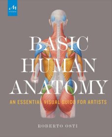 人体解剖基础 英文原版 Basic Human Anatomy