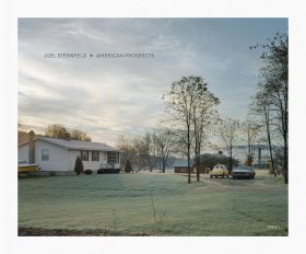 乔尔斯坦菲尔德 美国景象 Joel Sternfeld: American Prospects