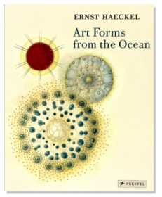 来自海洋的艺术形式：恩斯特海克尔的放射虫图片 Art Forms from the Ocean