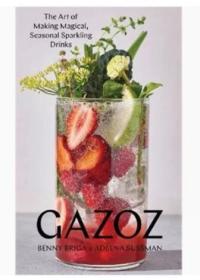 Gazoz 进口艺术 Gazoz 制作神奇的时令起泡饮料的艺术