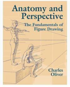 Anatomy and Perspective 进口艺术 解剖学和视角