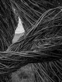 Patrick Dougherty James Florio 帕特里克 多爾蒂雕塑項目