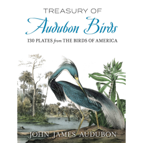 Treasury of Audubon Birds 进口艺术 奥杜邦的鸟类作品