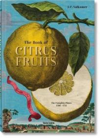 The Book of Citrus Fruits 进口艺术 柑橘画册