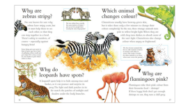 【现货赠音频】《I WONDER WHY ULTIMATE COLLECTION 十万个为什么最终版》精彩问答套书儿童想象力智力开发科普书籍 20本书均有配套的音频，塑封精致盒装