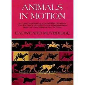 Animals in Motion 进口艺术 运动中的动物