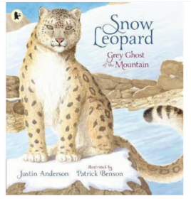 Patrick Benson Snow Leopard Grey Ghost of the Mountain 雪豹 山中的灰影 英文原版进口 儿童科普绘本自然故事书