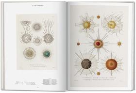 Ernst Haeckel 恩斯特·海克尔 自然历史科学生物艺术书籍绘画手绘彩图画册原版书大开本 进口原版图书