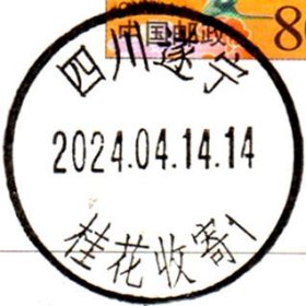 实寄片 盖销 四川遂宁-桂花收寄1 2024.04.14 日戳