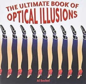 The Ultimate Book of Optical Illusions　不可能的视觉幻象 艺术图形错觉大全　原版现货