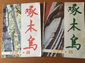 啄木鸟1987年第1期第6期