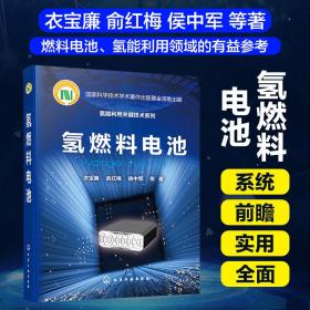 氢能利用关键技术系列--氢燃料电池