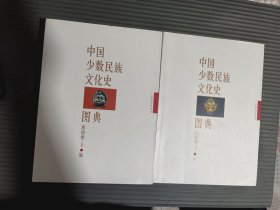 中国少数民族文化史陆、柒西南卷（上、下）