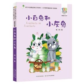 小白兔和小灰兔/百年百部精选注音书嵇鸿短篇童话代表作品集