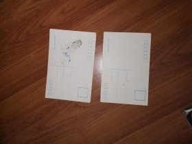 2张九十年代平民美女明信片（合售）空白未填，益阳市人民印刷厂印刷