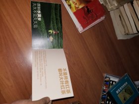 岚颜-海南五指山大叶红茶宣传册