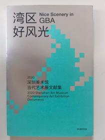 湾区好风光  2020深圳美术馆 当代艺术展文献集