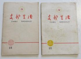 支部生活山东 1966年2册合售（全店满30元包挂刷，满100元包快递，新疆青海西藏港澳台除外）