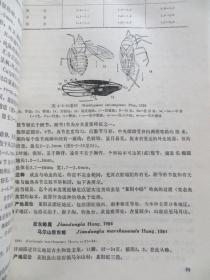 山东莱阳盆地地层古生物 原版品好（全店满30元包挂刷，满100元包快递，新疆青海西藏港澳台除外）