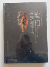 琥珀鉴定与评估 全新未开封 正版精装本（全店满30元包挂刷，满100元包快递，新疆青海西藏港澳台除外