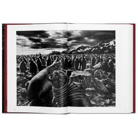 英文版  TASCHEN出版  Sebastiao Salgado： 创世纪 塞巴斯蒂昂 萨尔加多 作品集 摄影集