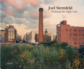 Joel Sternfeld: Walking the High Line: Revised Edition 乔尔·斯坦菲尔德 : 漫步高线 修订版 摄影集