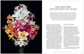 英文原版 Lilies: Beautiful varieties for home and garden百合：适合家庭和花园的美丽品种