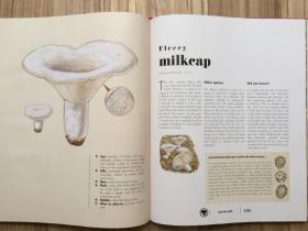英文原版 The Ultimate Guide to Mushrooms 蘑菇终极指南 识别收集遍布北美和欧洲的200多种蘑菇