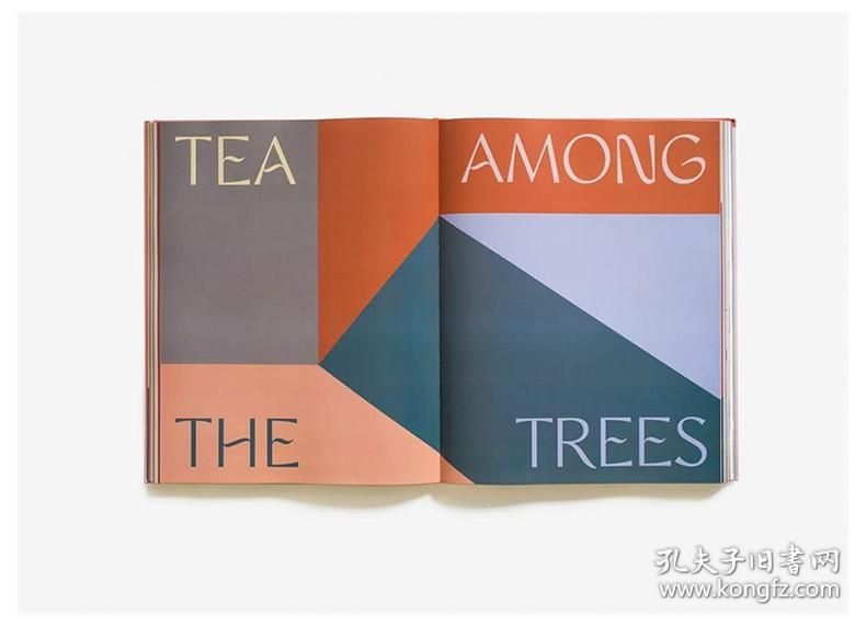 英文原版 Arent & Pyke: 超越初级调色板的室内装修 Interiors Beyond the Primary Palette  建筑空间设计