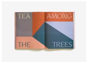 英文原版 Arent & Pyke: 超越初级调色板的室内装修 Interiors Beyond the Primary Palette  建筑空间设计