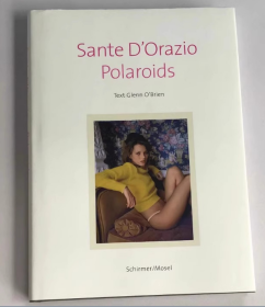 Sante D'Orazio: Polaroids 宝丽来摄影作品 名人肖像