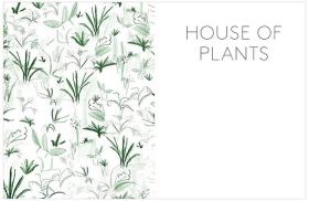 英文原版 植物家居:与多肉、空气凤梨和仙人掌盆栽住一起 House of Plants