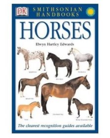 马 彩色图鉴 DK Smithsonian Handbook Horses