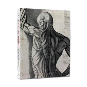 英文原版 Flesh and Bones: The Art of Anatomy 肉與骨 解剖學(xué)藝術(shù) 人體內(nèi)部結(jié)構(gòu)工作形式解析 真人大小版畫3D立體畫冊(cè)