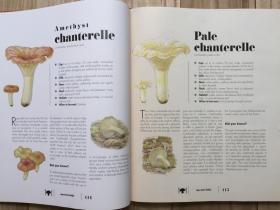 英文原版 The Ultimate Guide to Mushrooms 蘑菇终极指南 识别收集遍布北美和欧洲的200多种蘑菇