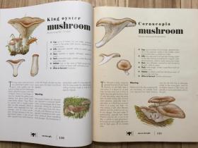 英文原版 The Ultimate Guide to Mushrooms 蘑菇终极指南 识别收集遍布北美和欧洲的200多种蘑菇