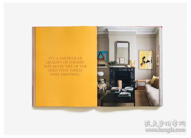英文原版 Arent & Pyke: 超越初级调色板的室内装修 Interiors Beyond the Primary Palette  建筑空间设计