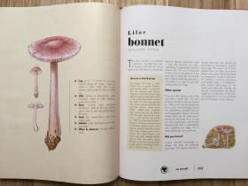 英文原版 The Ultimate Guide to Mushrooms 蘑菇终极指南 识别收集遍布北美和欧洲的200多种蘑菇