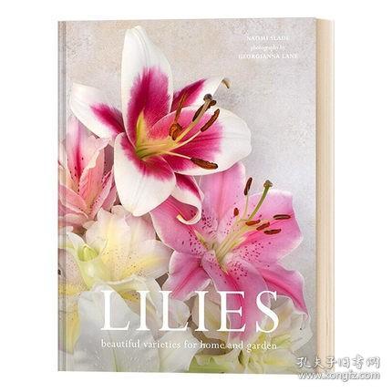 英文原版 Lilies: Beautiful varieties for home and garden百合：适合家庭和花园的美丽品种