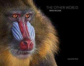 动物摄影 Brad Wilson: The Other World: Animal Portraits