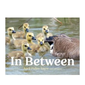 之间 In Between