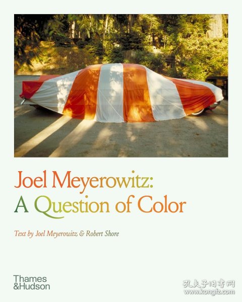 Joel Meyerowitz: A Question of Color 乔尔迈耶罗维茨：色彩问题 摄影