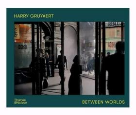 哈利·格鲁亚特：两个世界 Harry Gruyaert: Between Worlds 摄影集