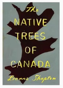 加拿大本土树木 Leanne Shapton插画集 Native Trees of Canada 插画原画设定集