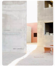 黛比·康沃爾:必要的小說 Debi Cornwall: Necessary Fictions 攝影集