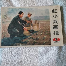 红小兵画报     1977年第十二期