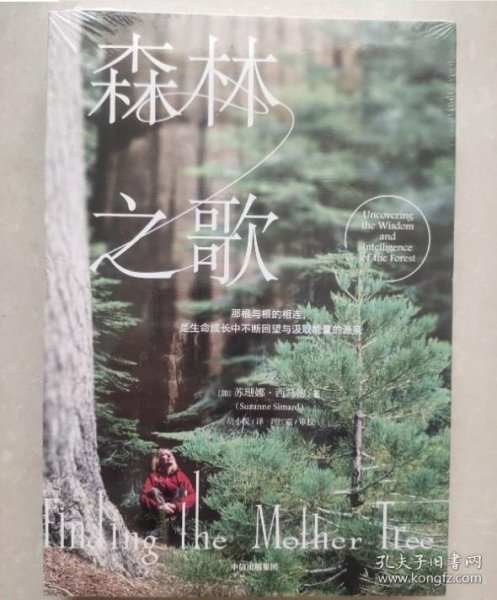 森林之歌
