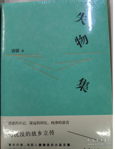 失物集（青年作家、先锋导演唐棣散文集，于坚、孙甘露名家推荐！）