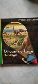 My first discoveries(两本   dinosaurs at large  / egyptian tombs）