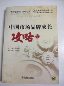 中国市场品牌成长攻略V 九大顶级品牌传播专家 六大知名财经记者联袂打造